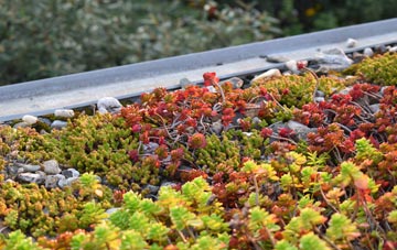 the cost of Barrows Green green roof installation