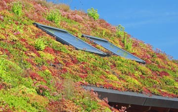 Barrows Green living roof systems